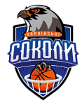 Харьковские Соколы