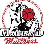 Маитланд М.