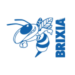 Бриксиа В