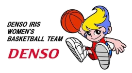 Денсо Ирис В