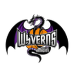 Ямагата Вайвернс