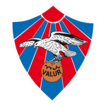 Валур В
