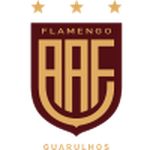 Фламенго SP U20