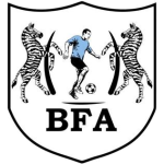 Блэк Лайонс