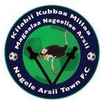 Нэгэле Арси