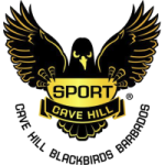 ЮВИ Блэкбердс