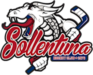 Соллентуна (до 20)