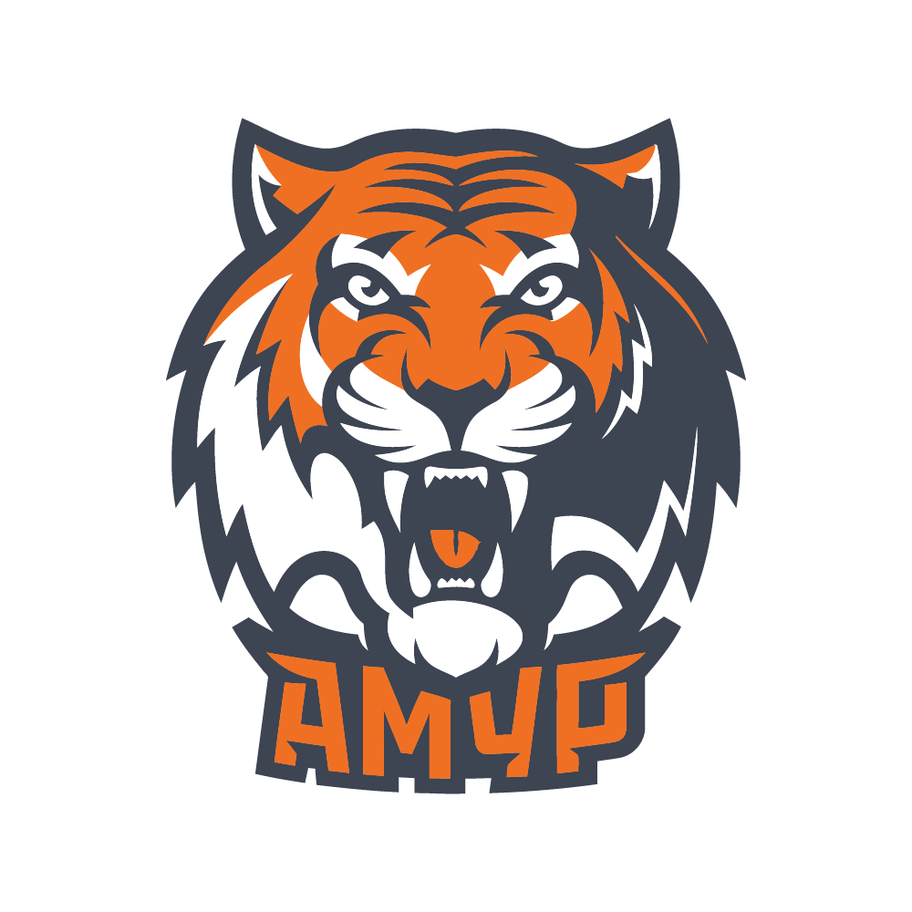 Амур Хабаровск